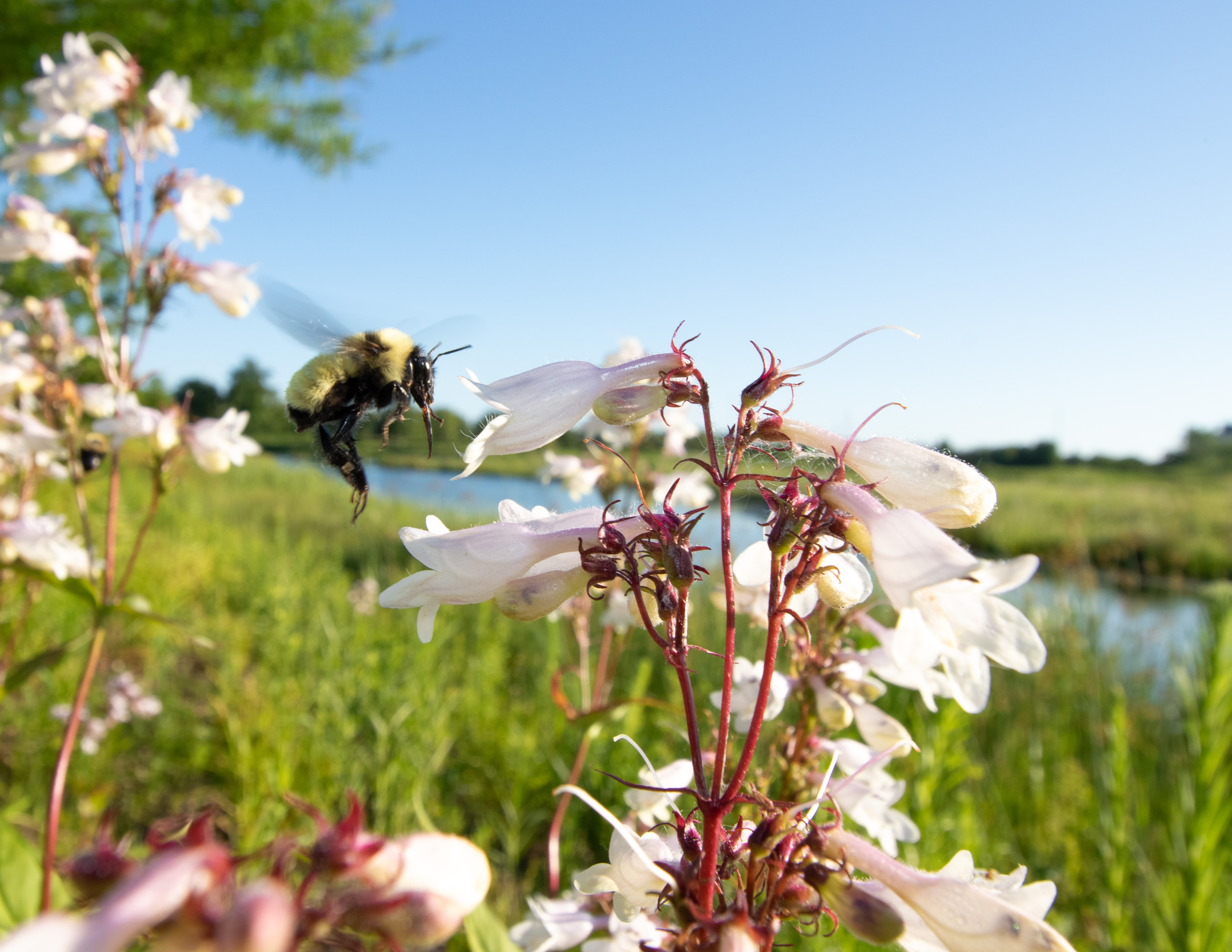 Nick’s 2025 Holiday Calendar
